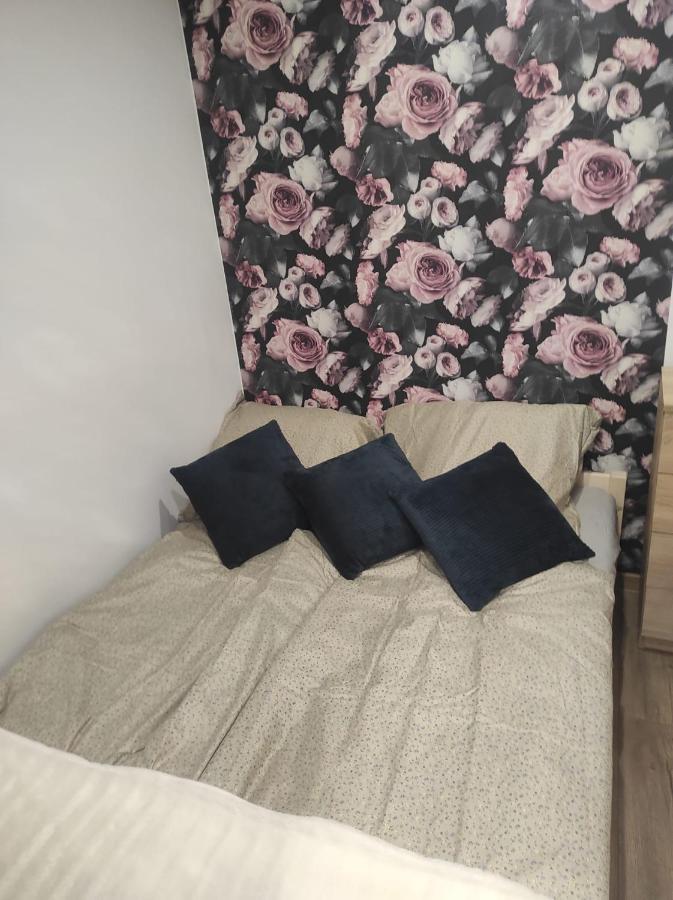 Walbrzych Pilsuckiego News Apartament Apartment Bagian luar foto